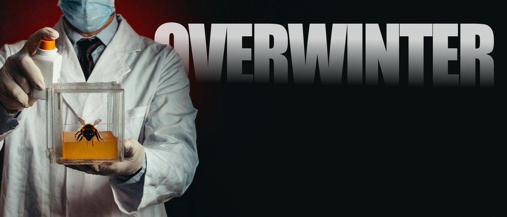 Let’s Overwinter Together