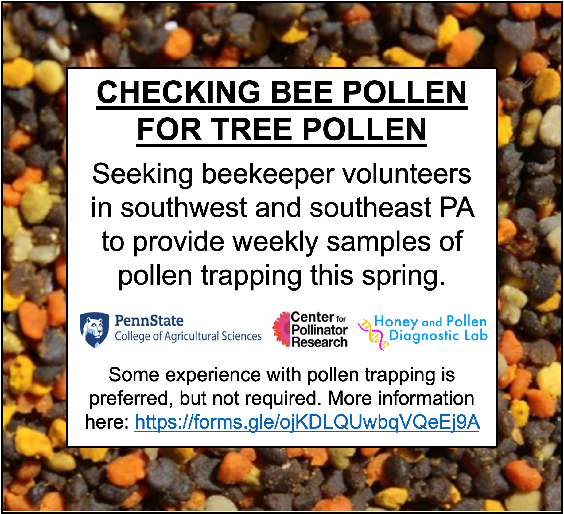 Trap Pollen for fun and science!