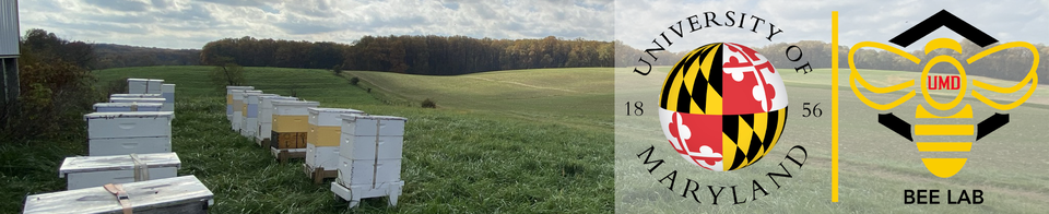 Video – Performing Colony Health Inspections and Recording the Details that Matter – Guild Monthly Meeting Featuring Eric Malcolm